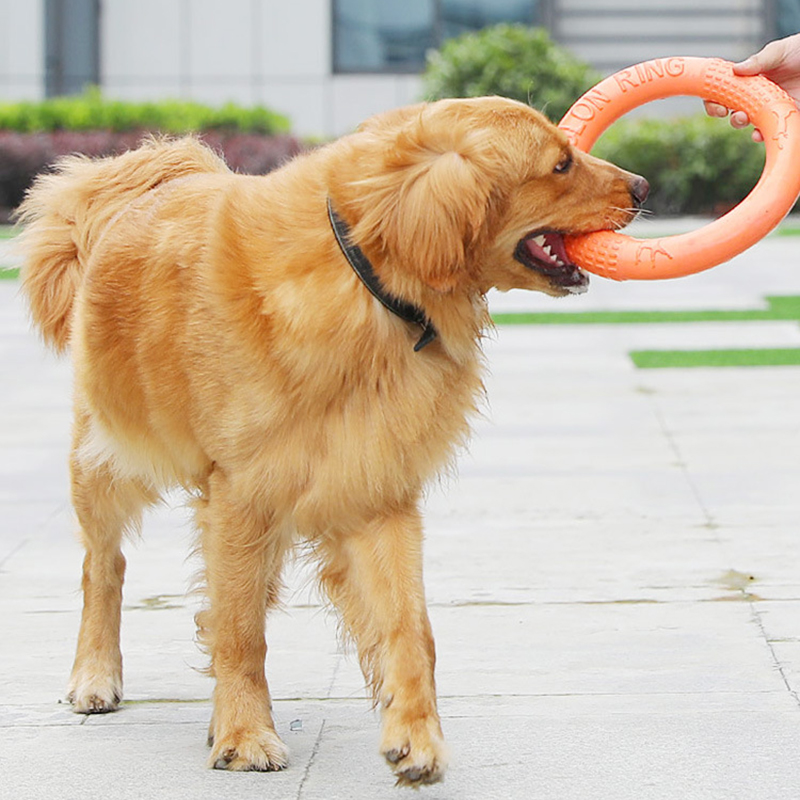 1pc Orange Dog Toys Pet Flying - Indestructible Dog Chew Toy ulasan dan harga