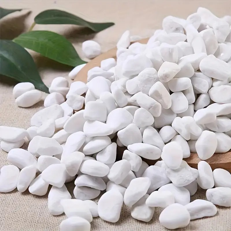 1L High-Quality Perlite Succul - Pet Beds ulasan dan harga