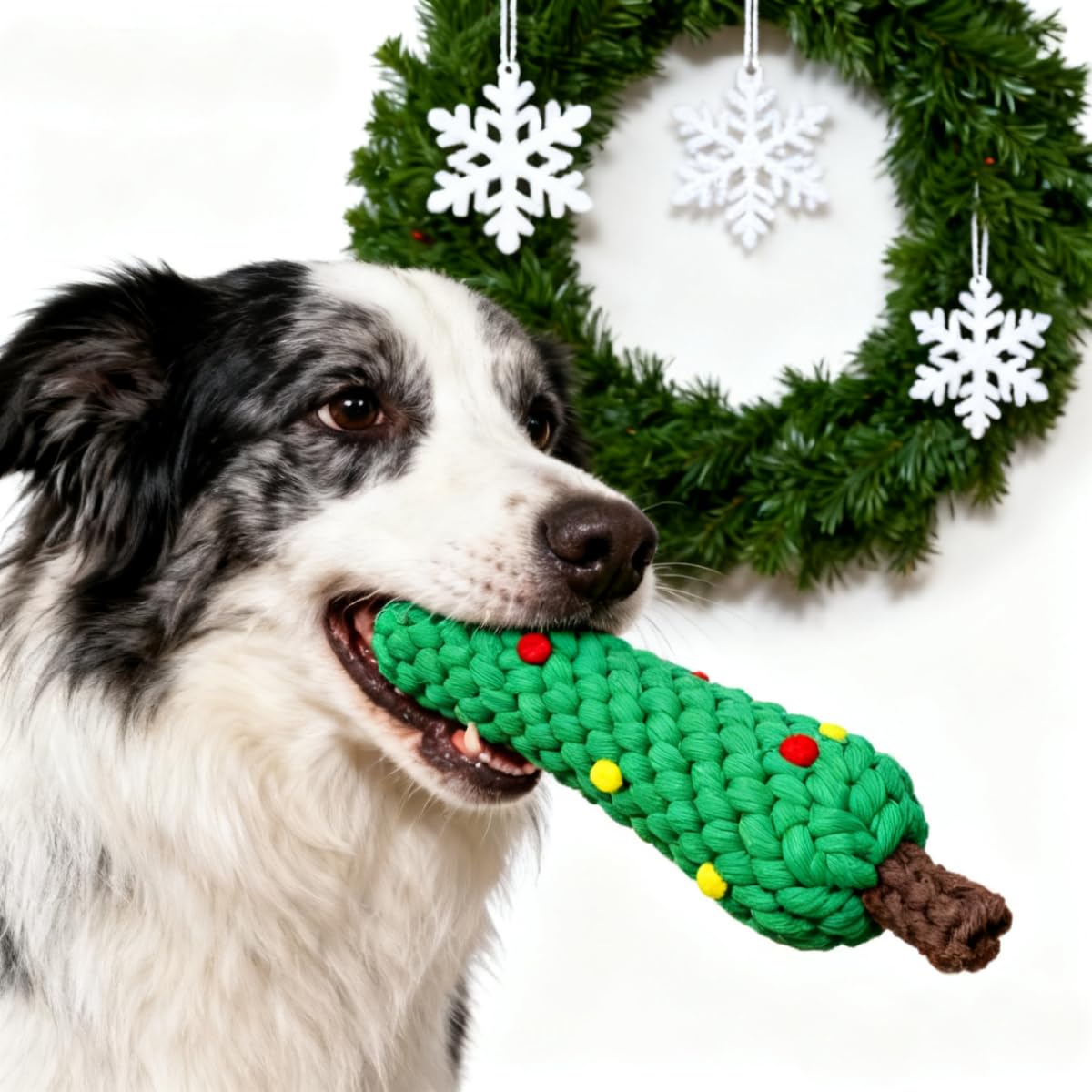 Christmas Cotton Rope Dog Chew - Teeth Cleaning Dog Chew Bone ulasan dan harga