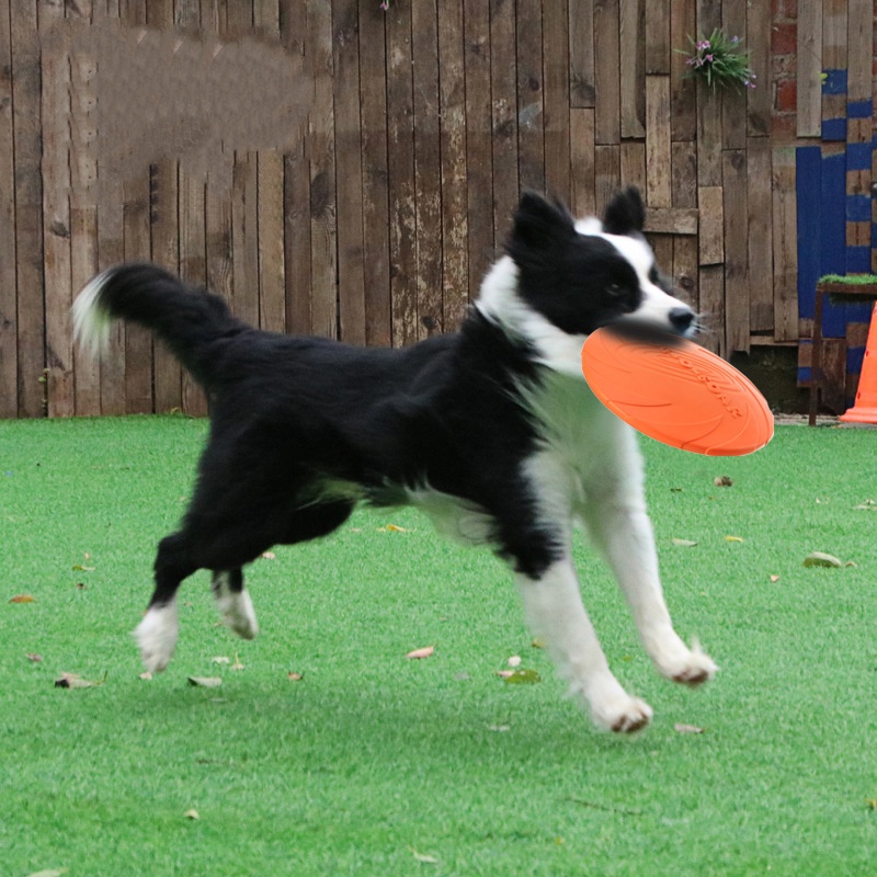 Interactive Silicone Flying Sa - Indestructible Dog Chew Toy ulasan dan harga