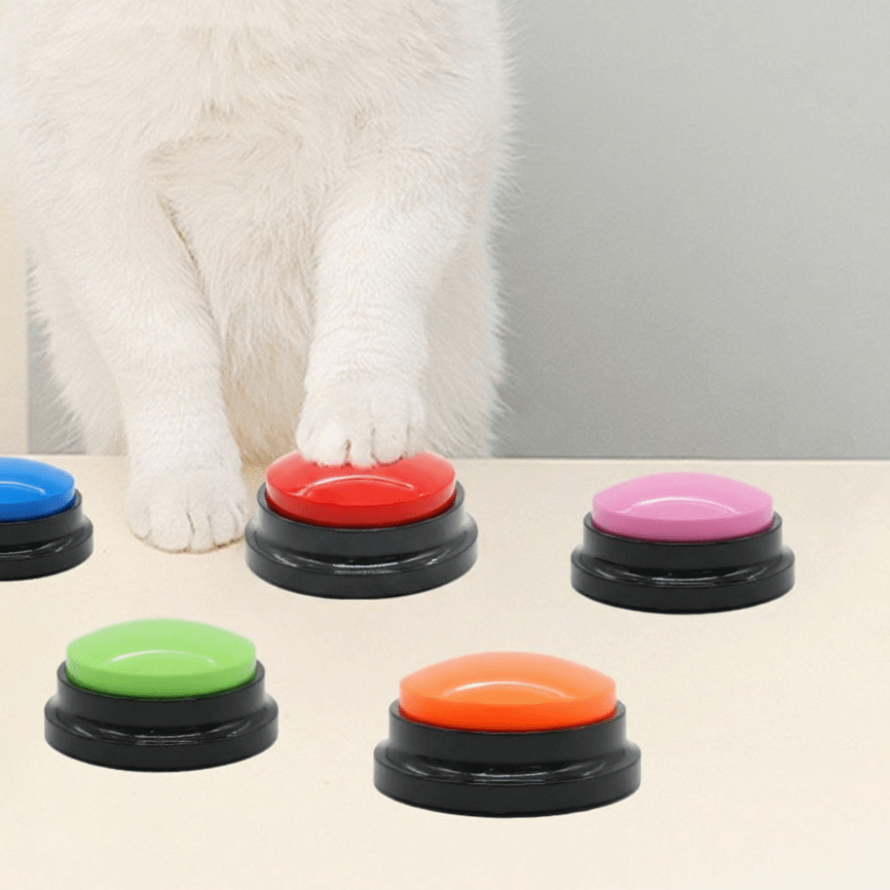 New Recordable Voice Recording - Cat Toys ulasan dan harga